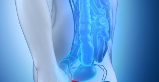 Qual è la dimensione normale della prostata