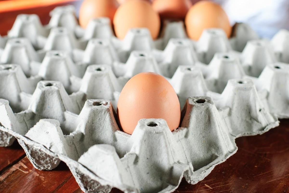 Come riutilizzare i cartoni delle uova
