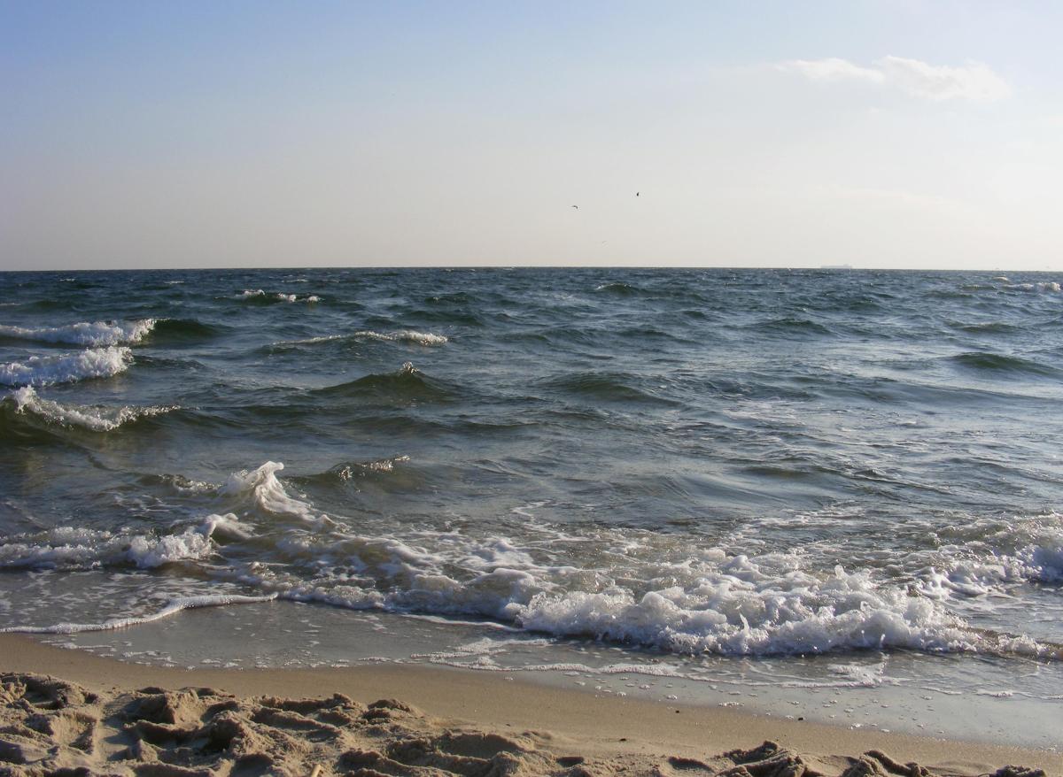 Quali sono le condizioni del mare