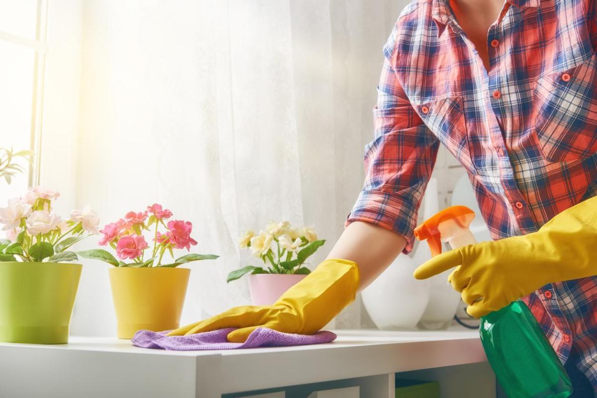 Come disinfettare la casa da virus e batteri