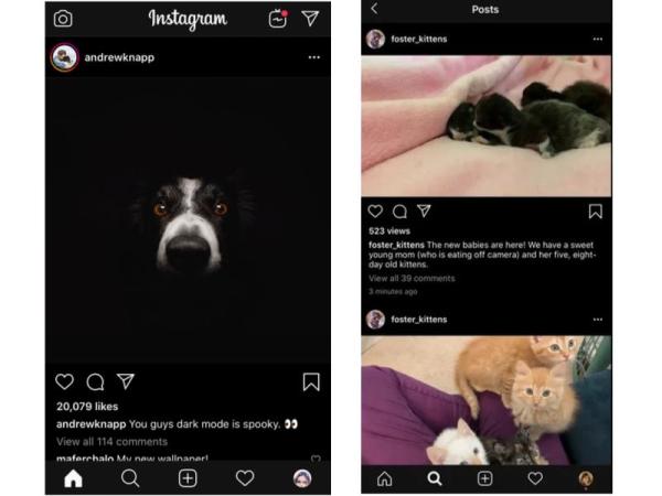 Come mettere il Dark mode in Instagram