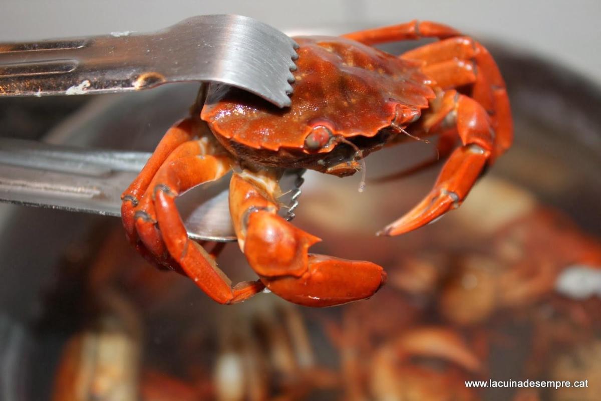 Come cuocere il granchio di mare