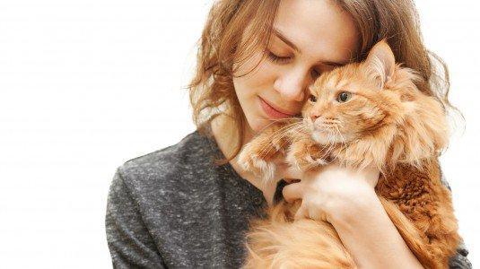 Fa male baciare il proprio gatto?