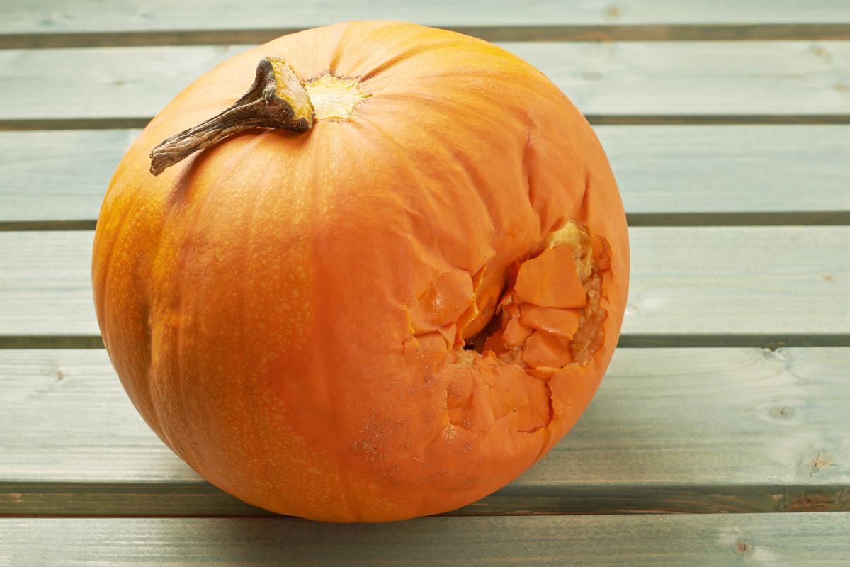 Come capire se la zucca è andata a male