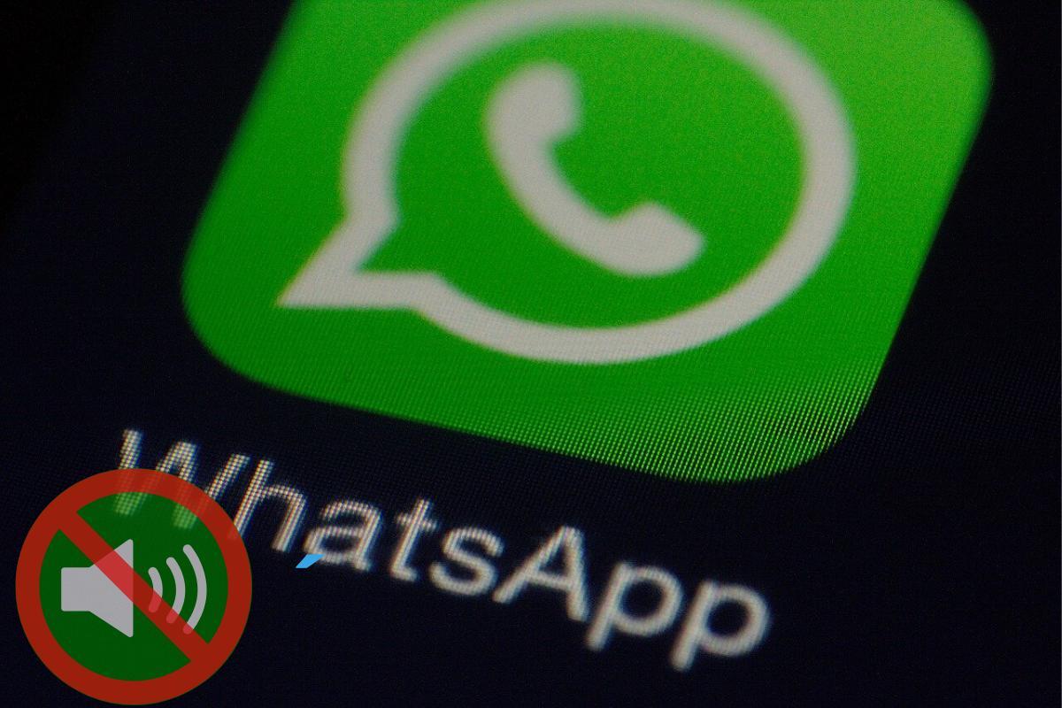 Whatsapp non suona quando arrivano messaggi: Perché e cosa fare