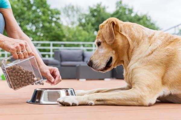 Cibo naturale per cani