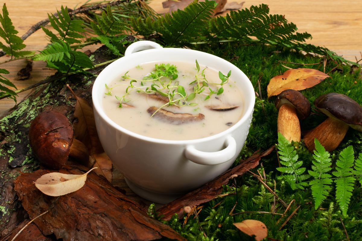 Ricetta di crema di funghi champignon