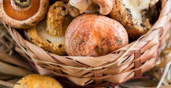 Come pulire i funghi rositi