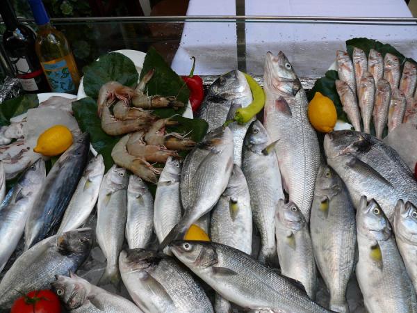 Come depurarsi dal nichel - Omega 3