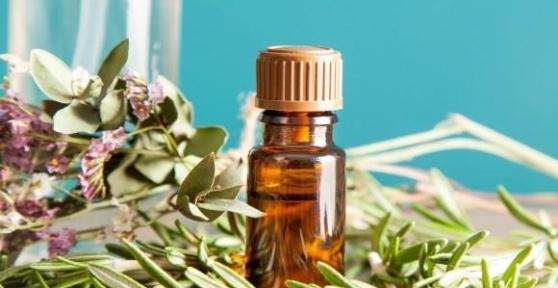 Benefici del rosmarino per i capelli