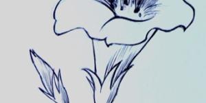 Come disegnare un fiore facilmente