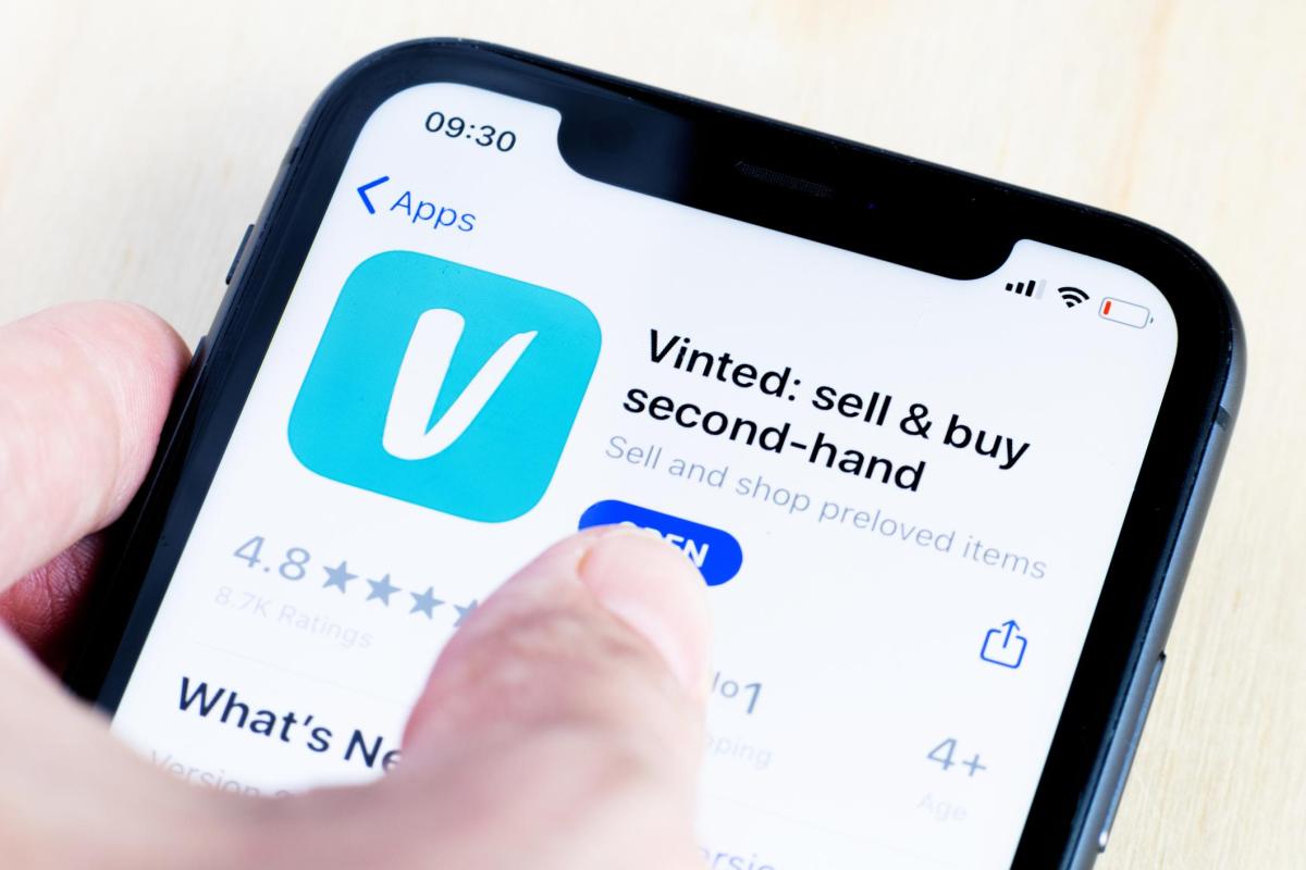 Cos'è Vinted e come funziona