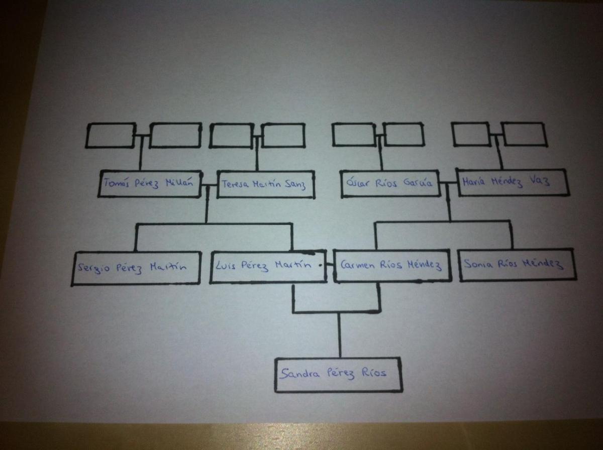 Come disegnare un albero genealogico di tre generazioni
