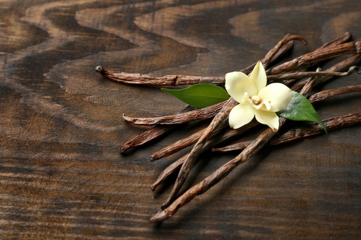 Vaniglia: da dove viene l'aroma?