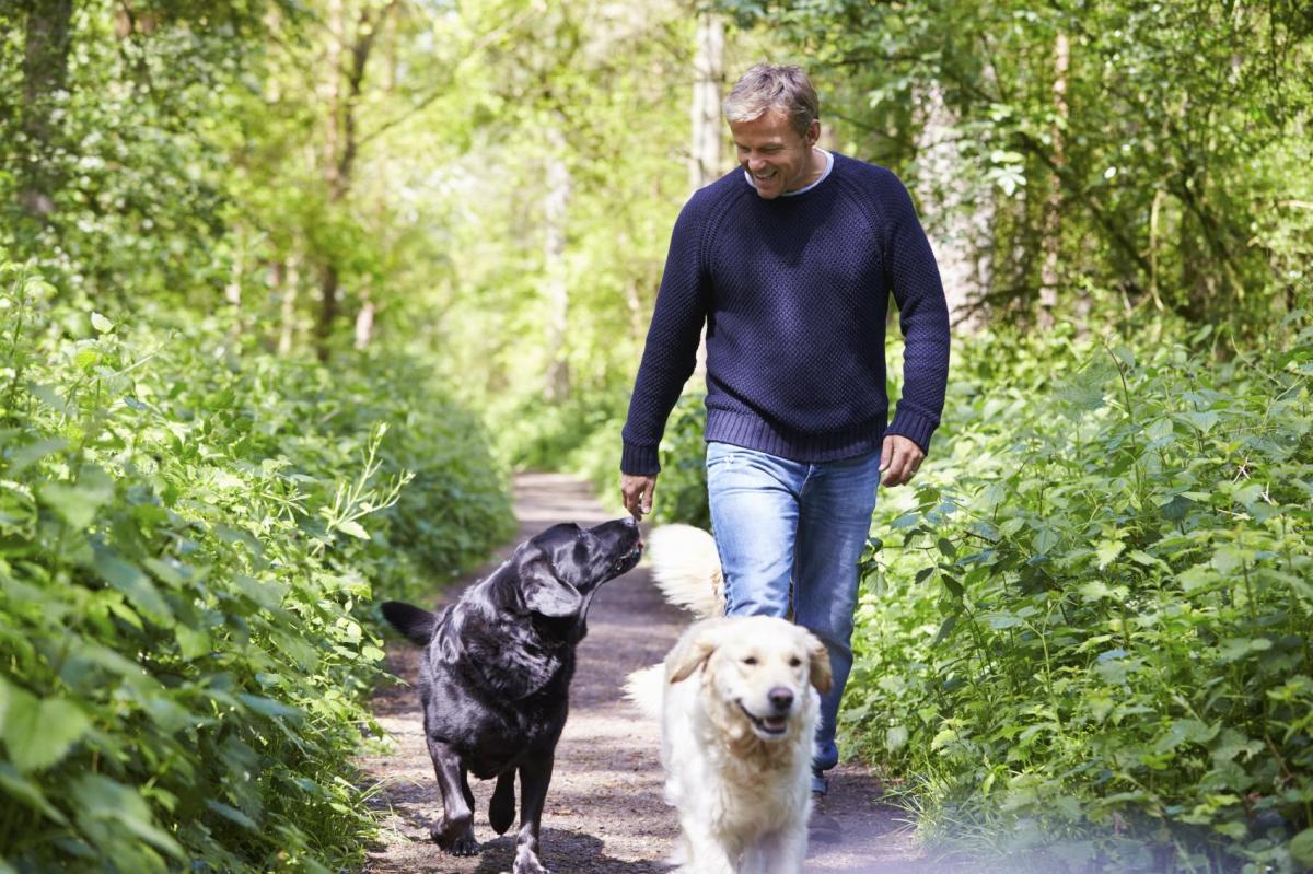 Quante volte al giorno deve uscire il cane
