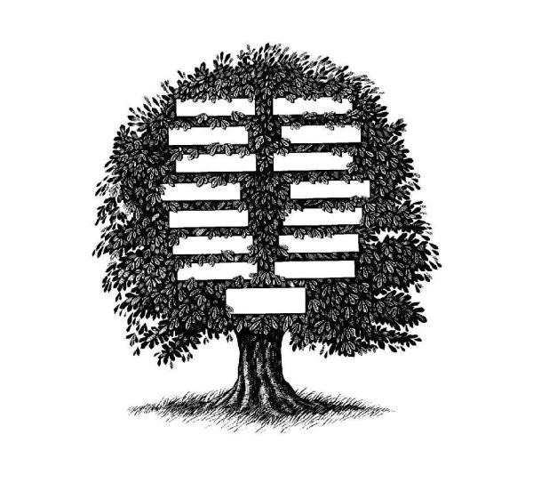 Come creare un albero genealogico con uno schema