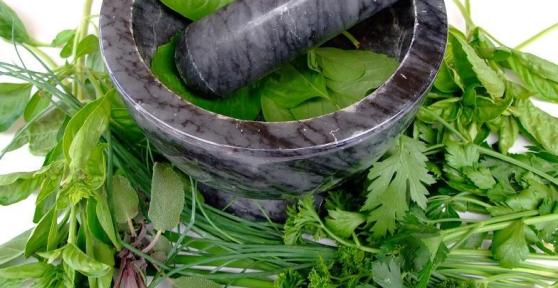 Piante medicinali contro l'artrosi