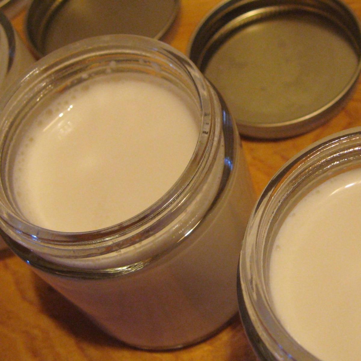 Come preparare uno yogurt con latte crudo