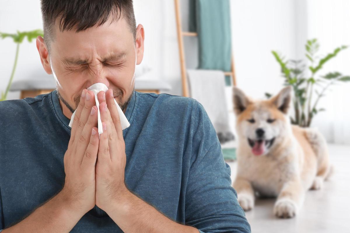 Allergia al pelo dei cani: cause, sintomi e cura