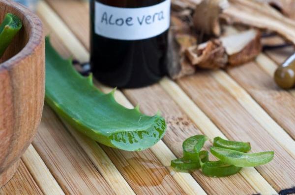 Ricette di bellezza con l'aloe