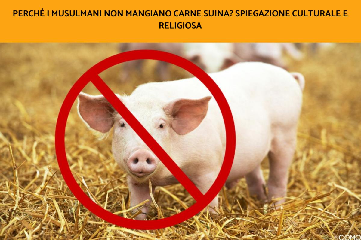 Perché i musulmani non mangiano carne suina? Spiegazione culturale e religiosa