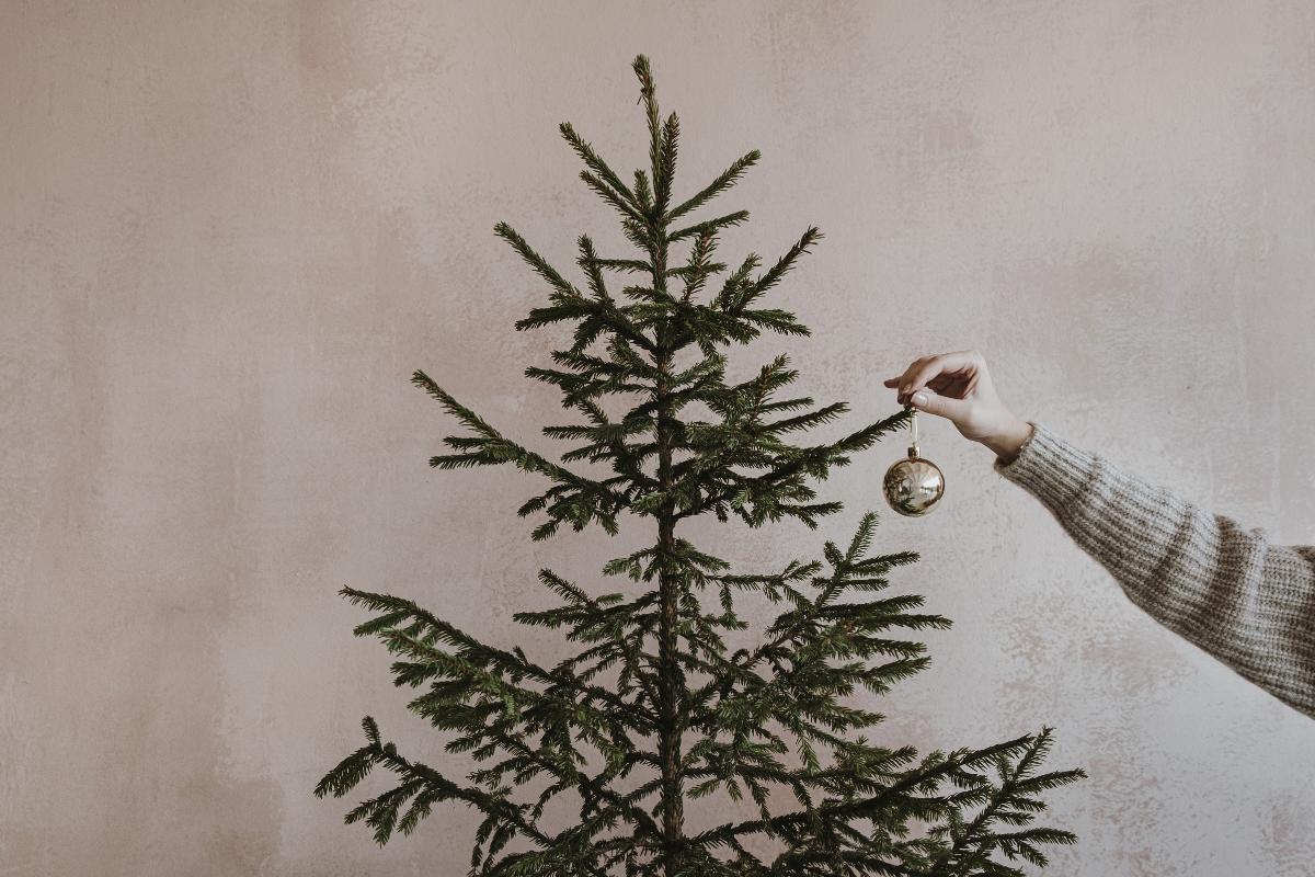 Quando si toglie l'albero di Natale?