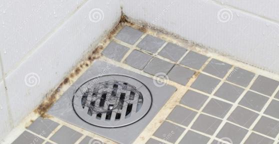 Come togliere la muffa dal bagno